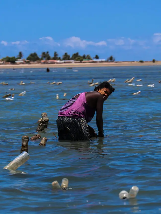 Coastal livelihoods